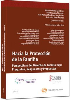 HACIA LA PROTECCIÓN DE LA FAMILIA