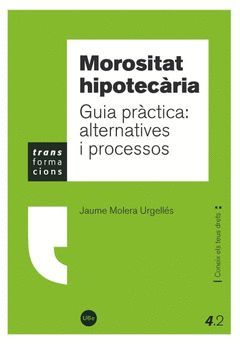 MOROSITAT HIPOTECÀRIA. GUIA PRÀCTICA: ALTERNATIVES I PROCESSOS