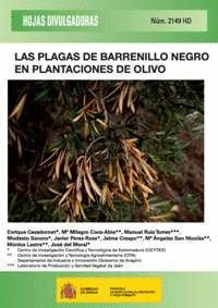 LAS PLAGAS DE BARRENILLO NEGRO EN PLANTACIONES DE OLIVO