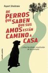 DE PERROS QUE SABEN QUE SUS AMOS ESTAN CAMINO DE CASA-PAIDOS BOLS-7