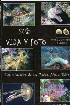 SUB, VIDA Y FOTO