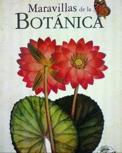 MARAVILLAS DE LA BOTÁNICA