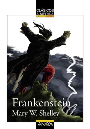 FRANKENSTEIN.CLASICOS A MEDIDA.ANAYA