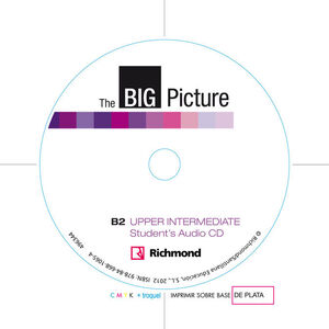 BIG PICTURE 4 WORKBOOK+CD [B2]