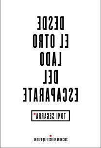 DESDE EL OTRO LADO DEL ESCAPARATE.ESPASA-RUST