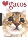 GATOS.ACCUAREL-CAJA-PEQ