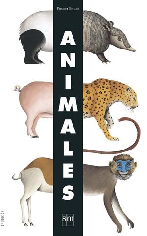 ANIMALES.SM-INF-G-CARTONE