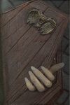 DIARIO DE VAMPIROS,MI.SUSAETA-LIBRO GOMA EN RELIEVE