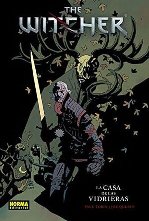 WITCHER 1 LA CASA DE LAS VIDRIERAS