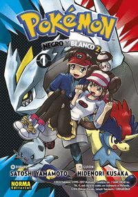 POKÉMON 31 NEGRO Y BLANCO II 01