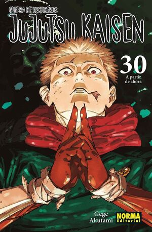 JUJUTSU KAISEN, 30