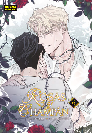 ROSAS Y CHAMPAN 06