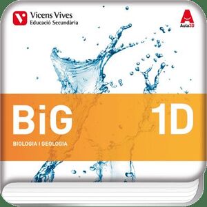 BIG 1D (DIGITAL)