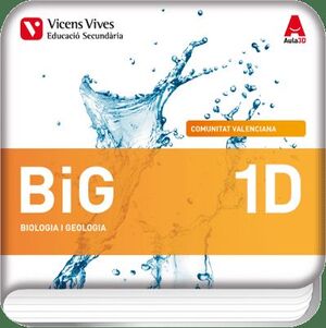 BIG 1D VALENCIA (DIGITAL)