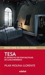 PREMIO EDEBE 2013 (XXI EDICION) JUVENIL: TESA-EL DESPACHO DE DON BALTASAR DE GAR