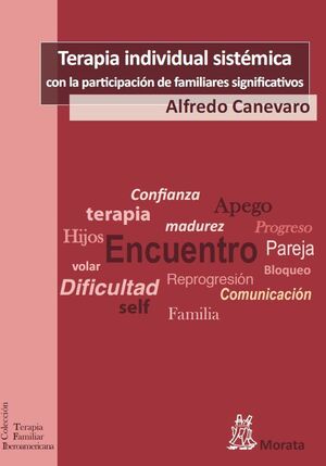 CUANDO VUELAN LOS CORMORANES  LA TERAPIA INDIVIDUAL SISTÉMICA CON LA PARTICIPACI