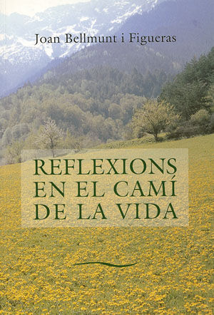 REFLEXIONS EN EL CAMI  VIDA 1