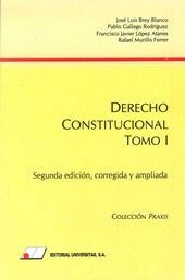 DERECHO CONSTITUCIONAL I. GRUPOS DE TRABAJO