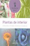 PLANTAS DE INTERIOR.LAROUSSE-JARDINERIA FACIL