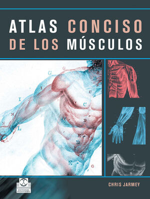 ATLAS CONCISO DE LOS MUSCULOS.PAIDOTRIBO-G-RUST
