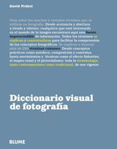 DICCIONARIO VISUAL DE FOTOGRAFIA. BLUME-RUST