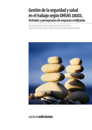 GESTIÓN DE LA SEGURIDAD Y SALUD EN EL TRABAJO SEGÚN OHSAS 18001. ACTITUDES Y PER