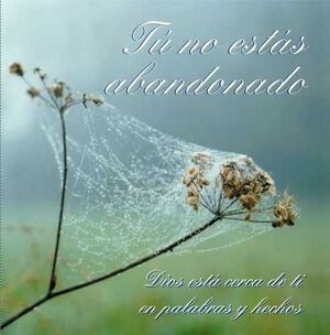 TU NO ESTAS ABANDONADO