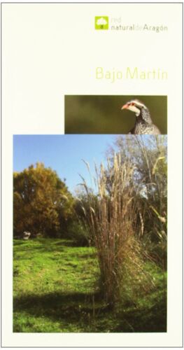 BAJO MARTIN