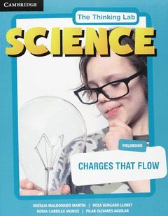 THE THINKING LAB: FLASHCARDS, CHARGES THAT FLOW