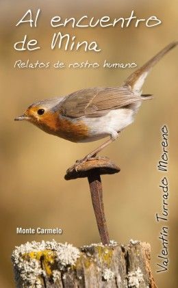 AL ENCUENTRO DE MINA-RELATOS DEL ROSTRO HUMANO