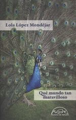 QUÉ MUNDO TAN MARAVILLOSO