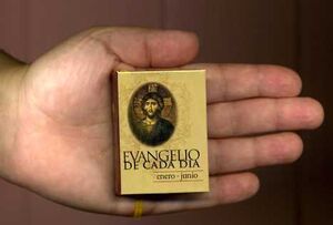 EVANGELIO DE CADA DIA JULIO-DICIEMBRE (BONSAI)