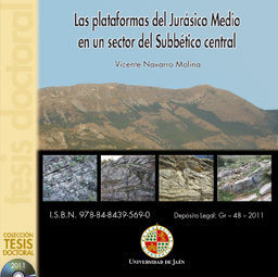 LAS PLATAFORMAS DEL JURÁSICO MEDIO EN UN SECTOR DEL SUBBÉTICO CENTRAL