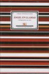 ÁNGEL EN LLAMAS