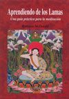 EXPERIENCIA DEL CONOCIMIENTO INTUITIVO.DHARMA-RUST
