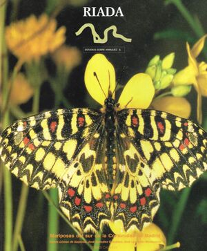MARIPOSAS DEL SUR DE LA COMUNIDAD DE MADRID, LAS