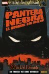 PANTERA NEGRA: EL HOMBRE SIN MIEDO 2