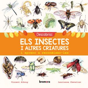 DESCOBRISC ELS INSECTES I ALTRES CRIATURES I APRENC A RECONEIXER-LES