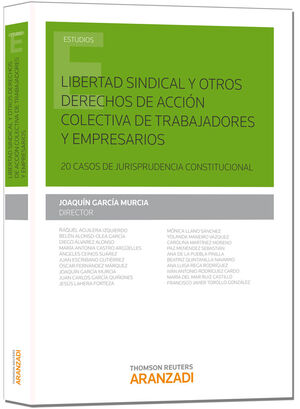 LIBERTAD SINDICAL Y OTROS DERECHOS DE ACCIÓN COLECTIVA DE TRABAJADORES Y EMPRESA