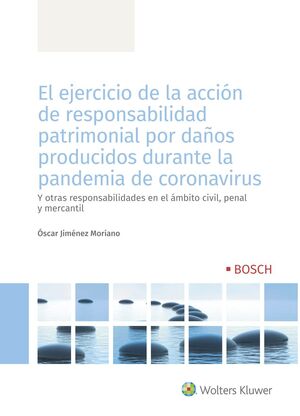 EL EJERCICIO DE LA ACCIÓN DE RESPONSABILIDAD PATRIMONIAL POR DAÑOS PRODUCIDOS  D