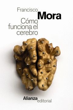 COMO FUNCIONA EL CEREBRO