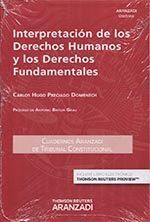 INTERPRETACION DERECHOS HUMANOS Y FUNDAMENTALES