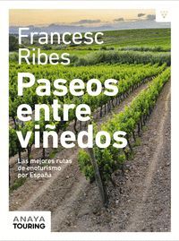 PASEOS ENTRE VIÑEDOS