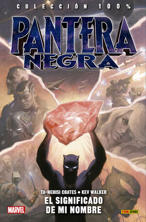 PANTERA NEGRA 02. EL SIGNIFICADO DE MI NOMBRE