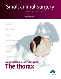 THE THORAX