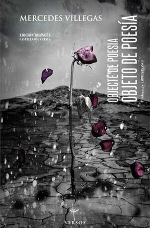 OBJECTE DE POESIA / OBJETO DE POESIA