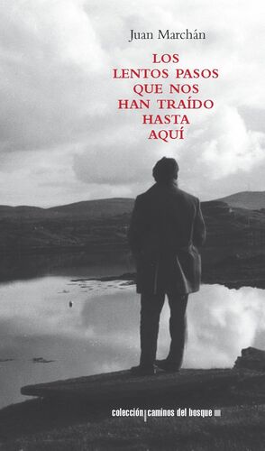 LOS LENTOS PASOS QUE NOS HAN TRAÍDO HASTA AQUÍ