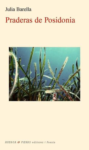 PRADERAS DE POSIDONIA