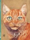 YO SOY GATO.LATA DE SAL-INF-DURA