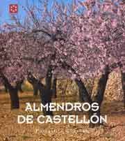 ALMENDROS DE CASTELLÓN